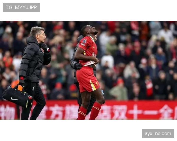 雷恩实力再升级，新星加盟助力球队竞争力跃升